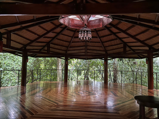 Yoga Retreats